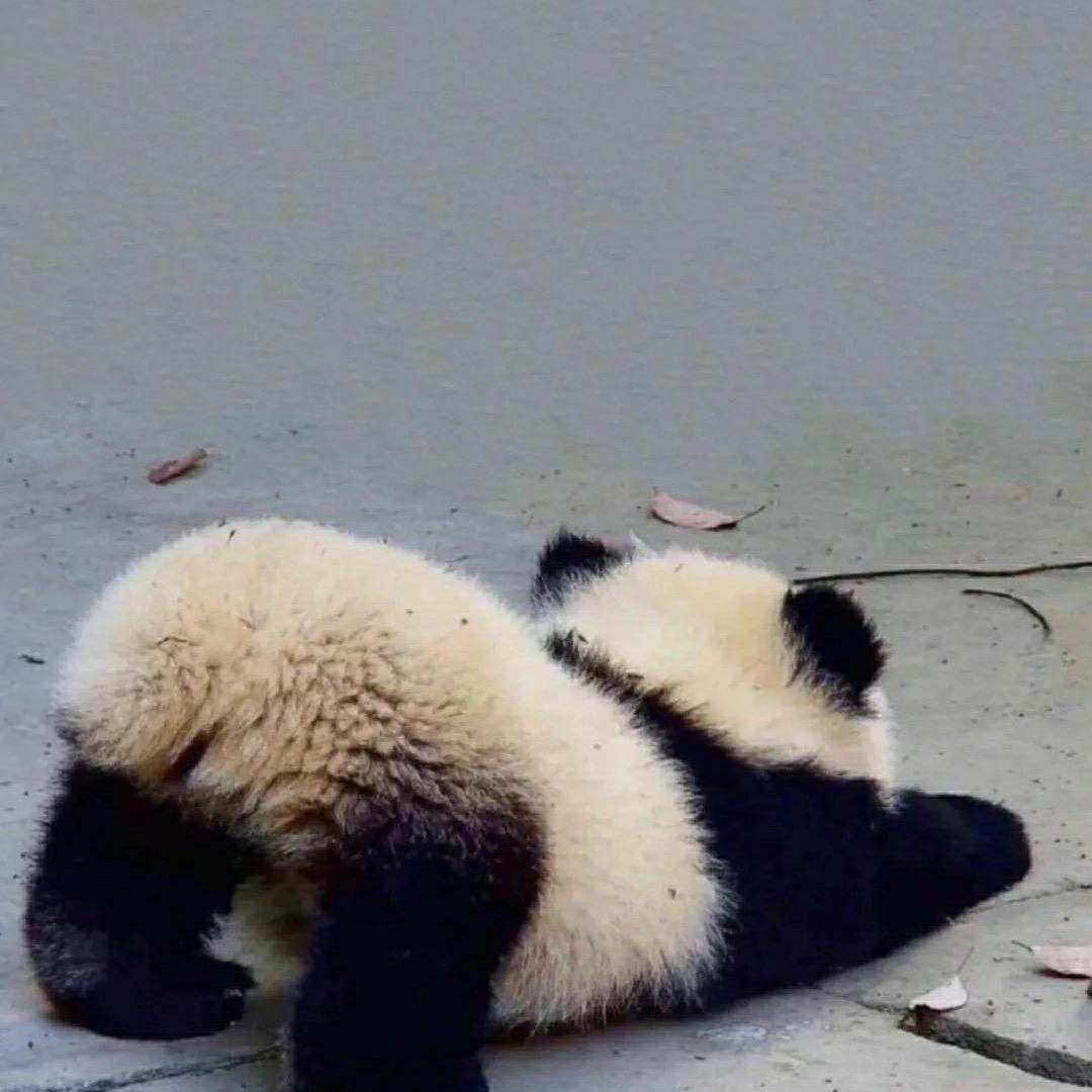 很高兴