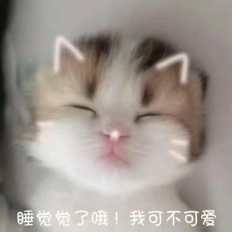 冷脸萌