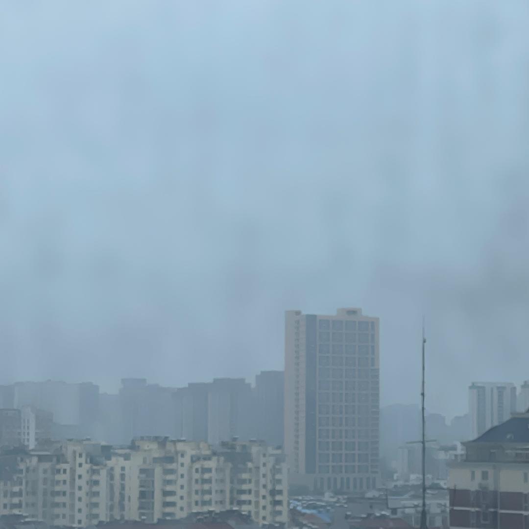 🌷🌹🌷🐚🪸🌷💐🍄🐚q