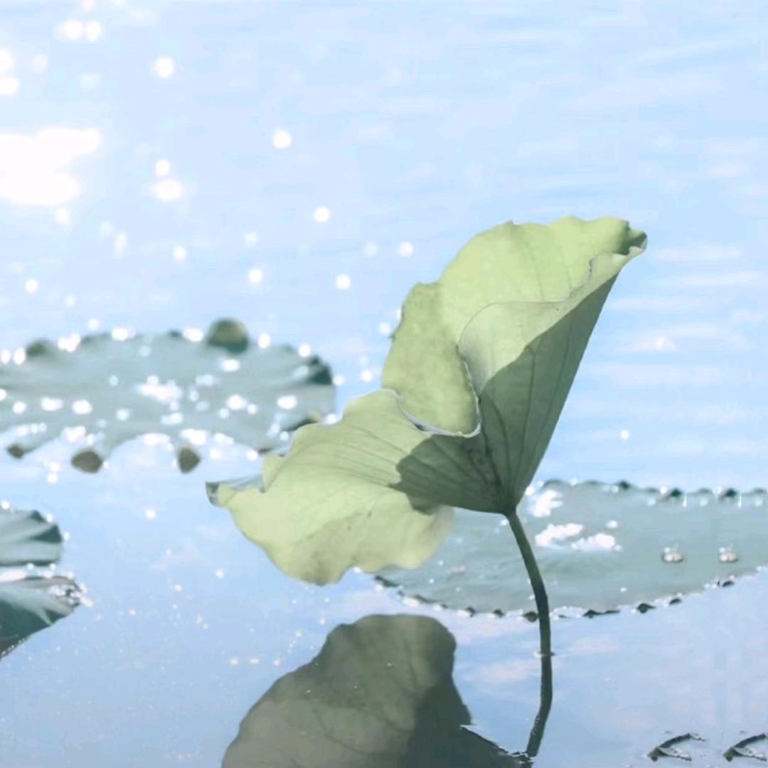 我
