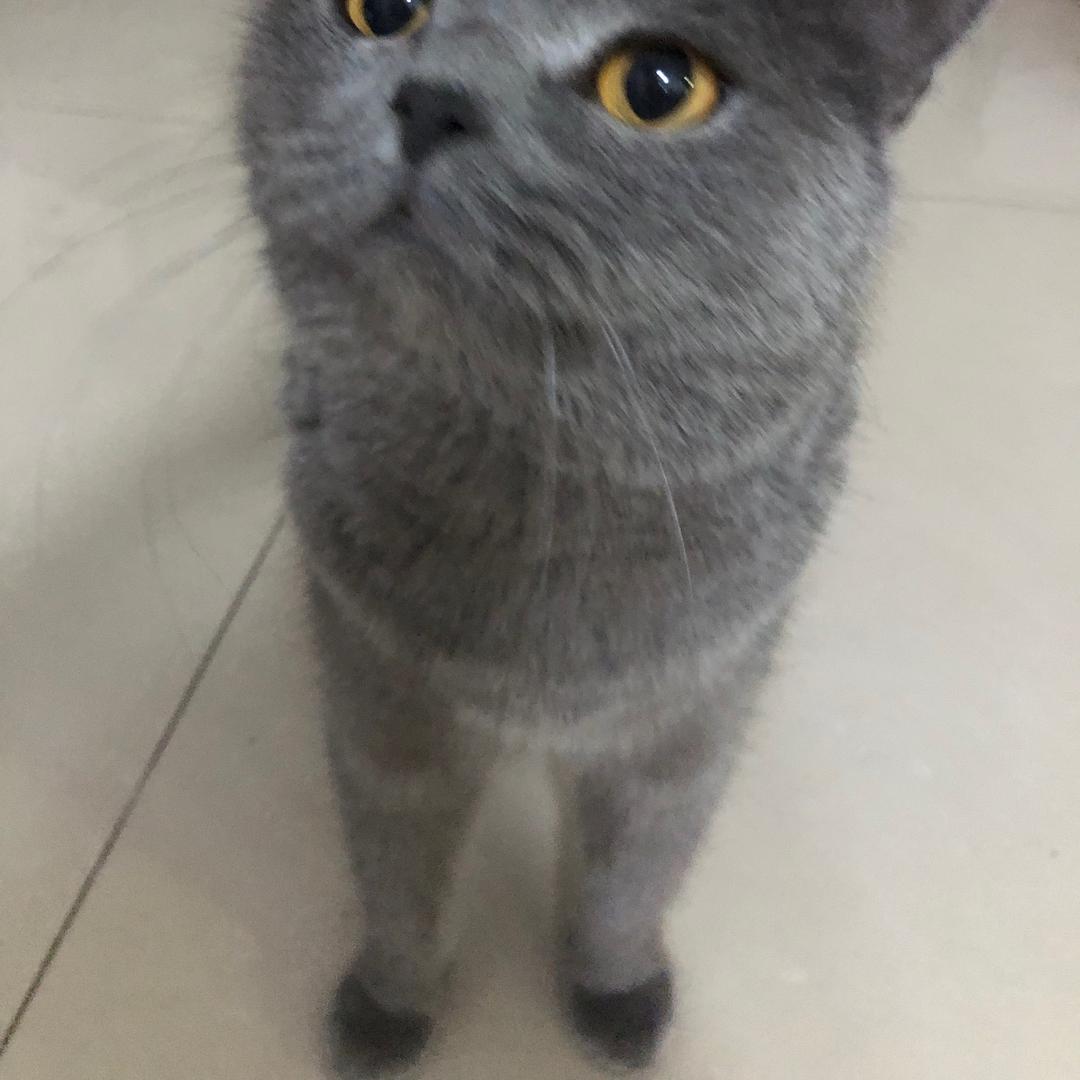 潘潘