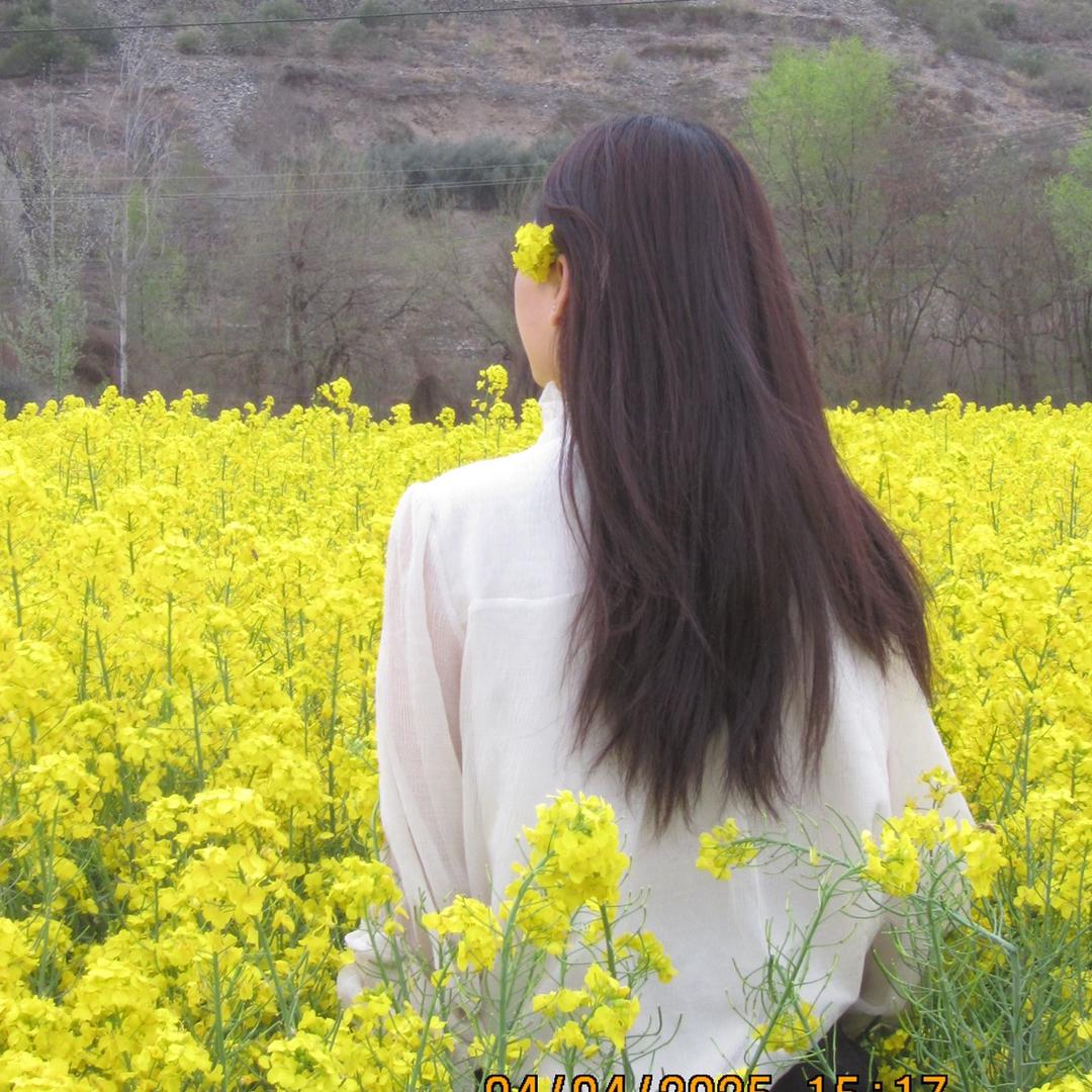 小陈的摆摊日记