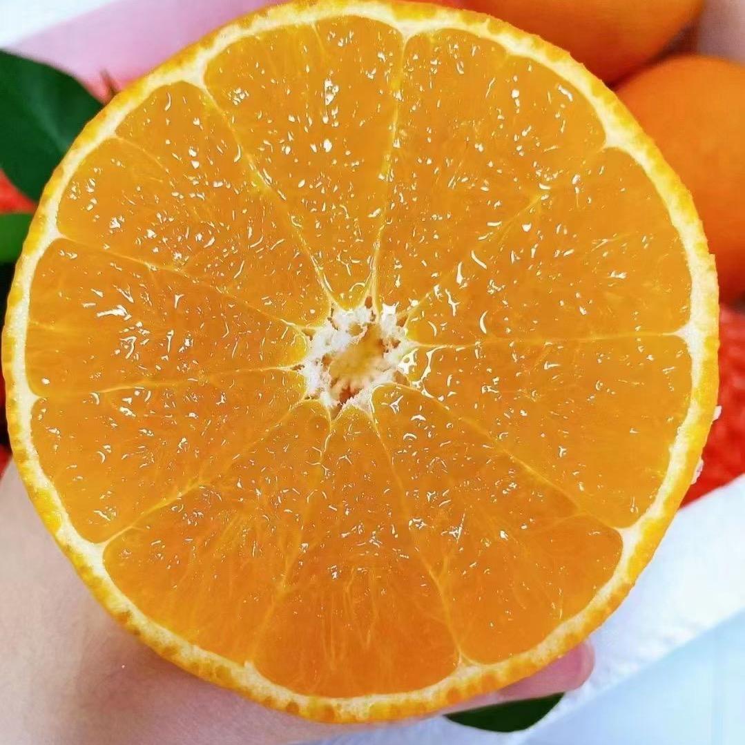 小蔡来了