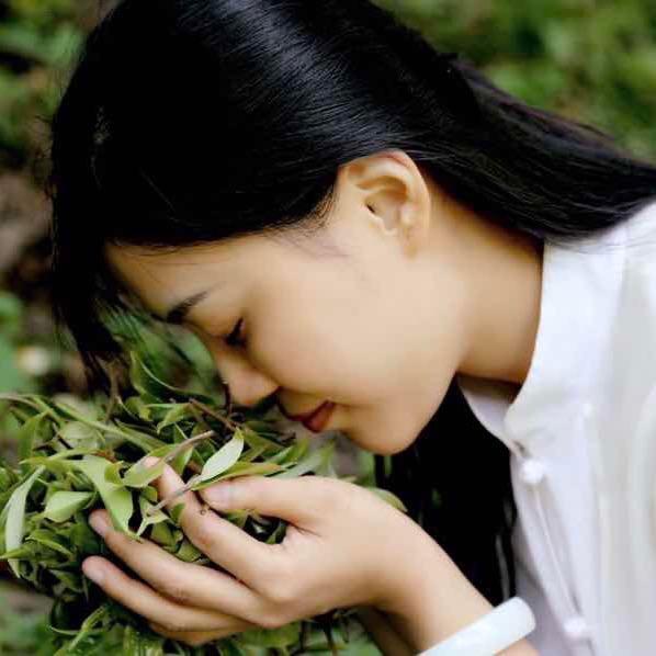 冰姐茶生活