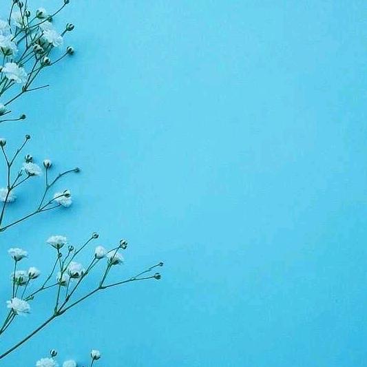 🌴🍀坚持，我要向前进🌴🌴