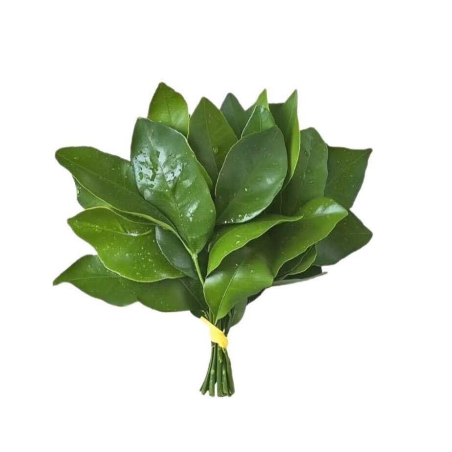 小登(主播培训)