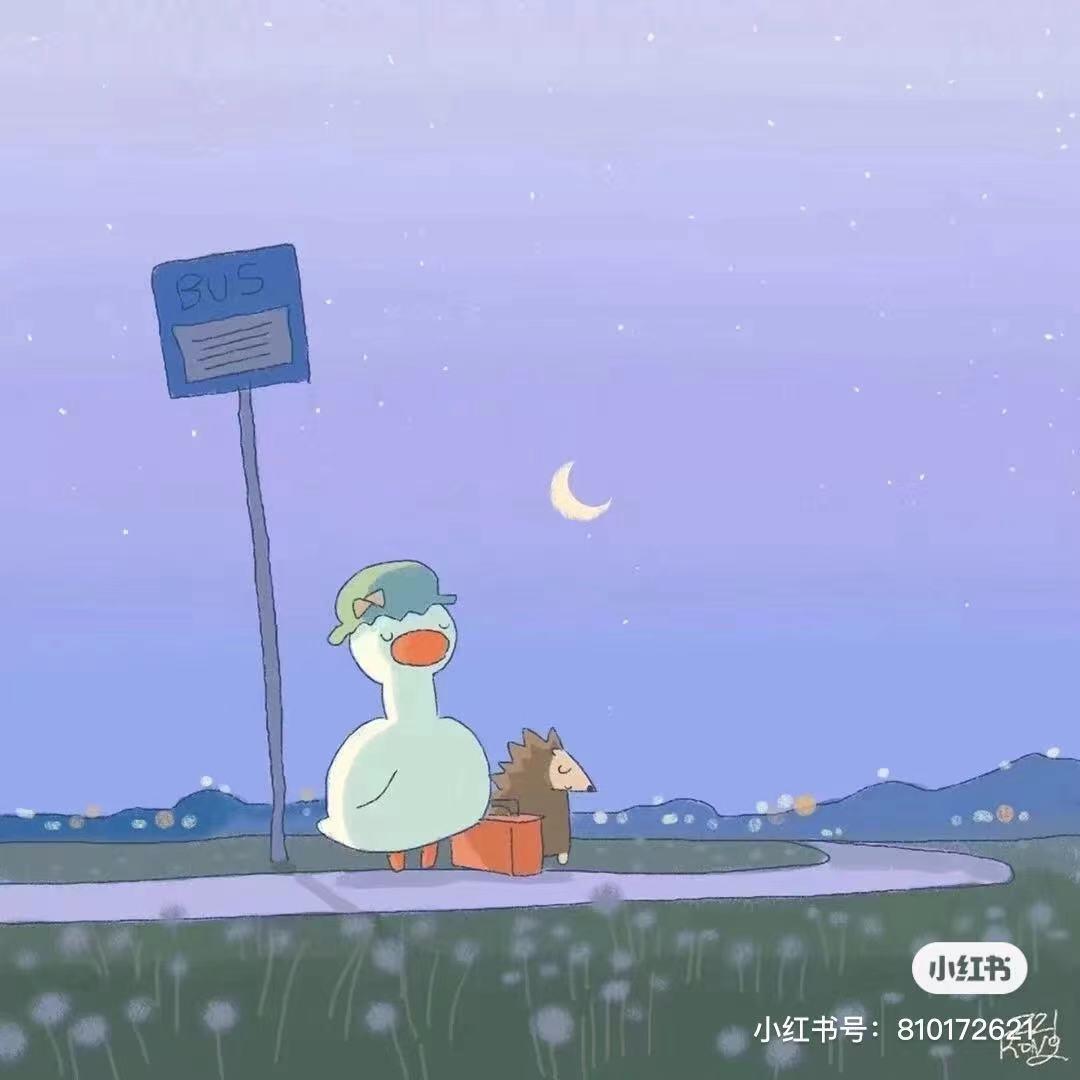 一个租房的小菇凉