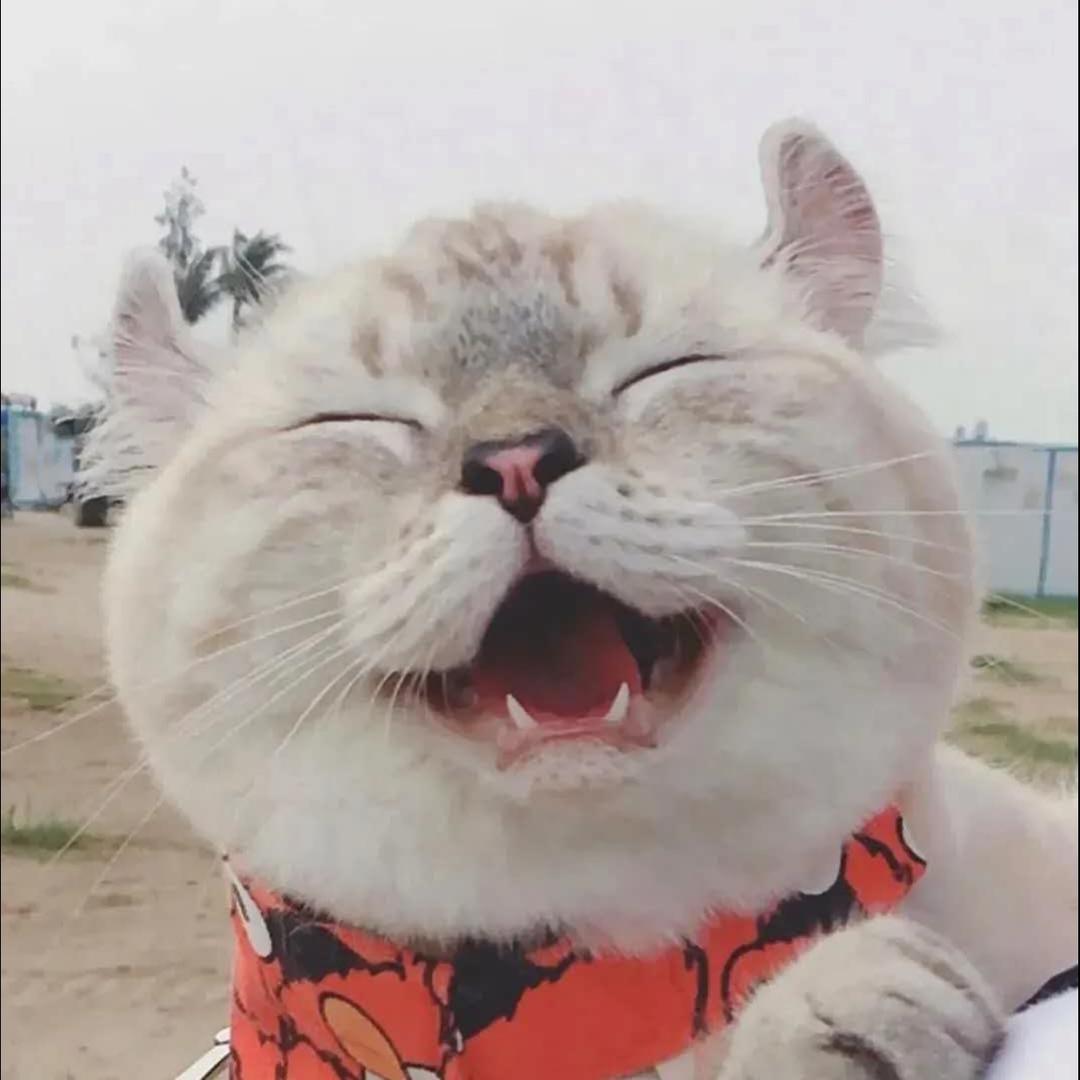 你要开怀大笑^_^