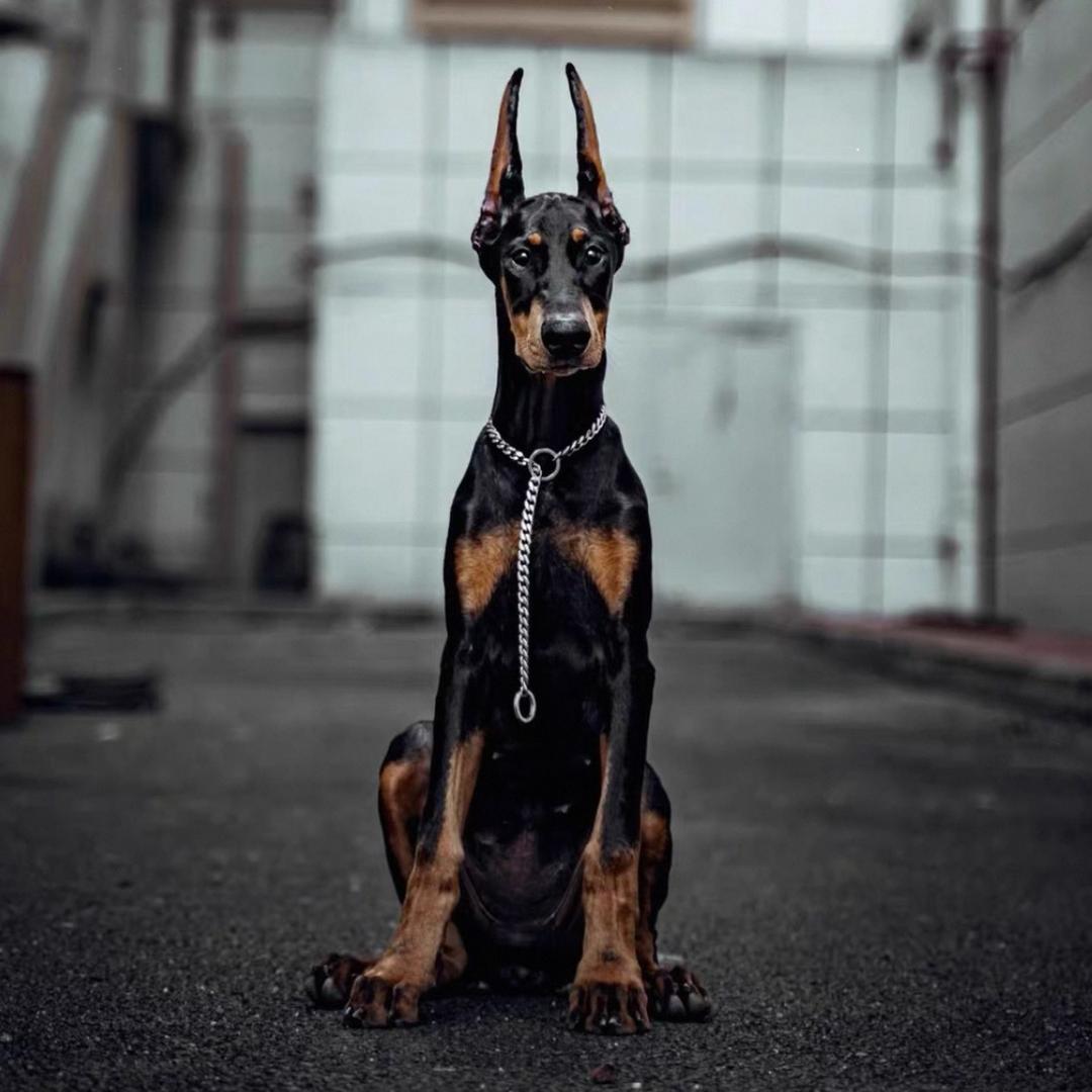 袋口引力台球俱乐部