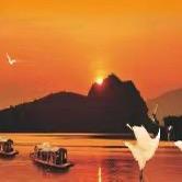 星湖湿地科普研学