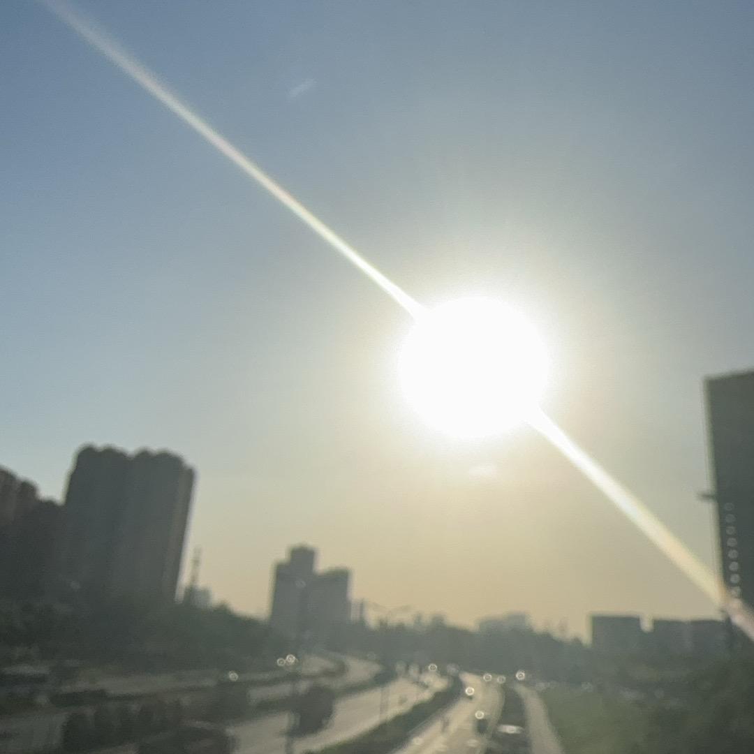 加菲没有猫