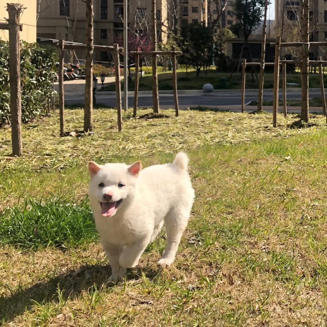 这是全新版本