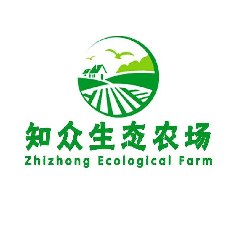 知众金蝉-知了猴