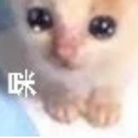 O3O