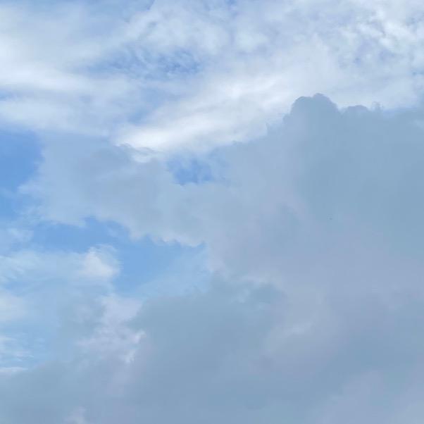 夷陵区小溪塔纯堆网络工作