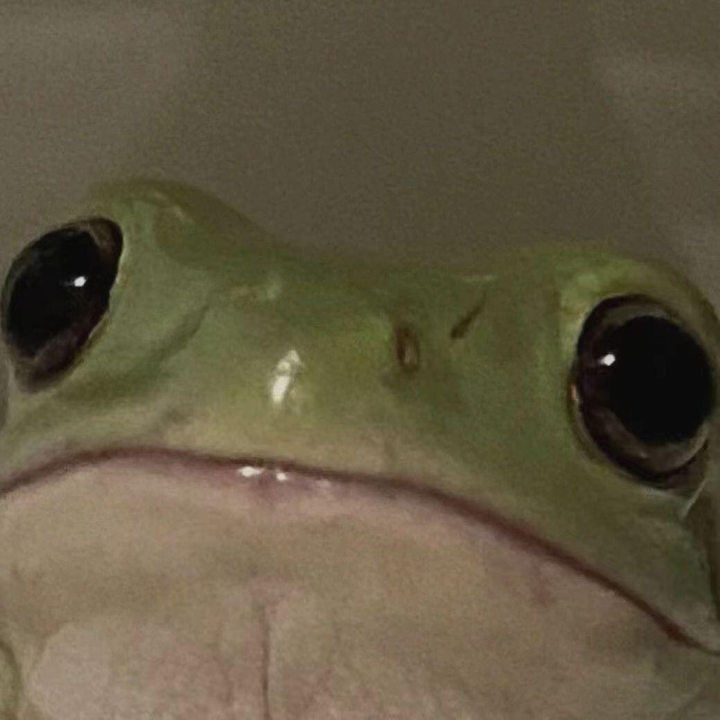 非非非常甜的堡堡