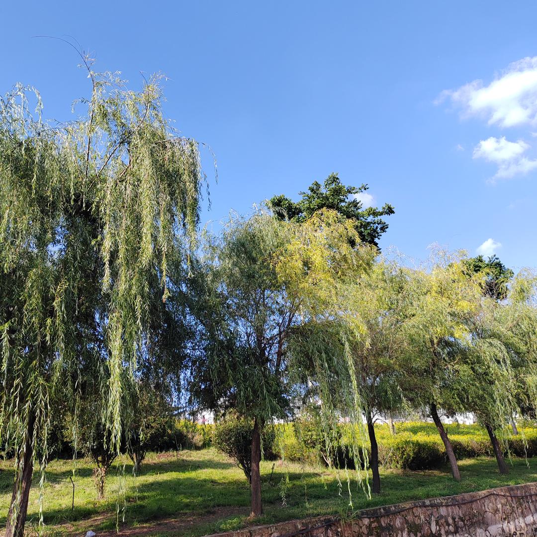 钱包空的像我心