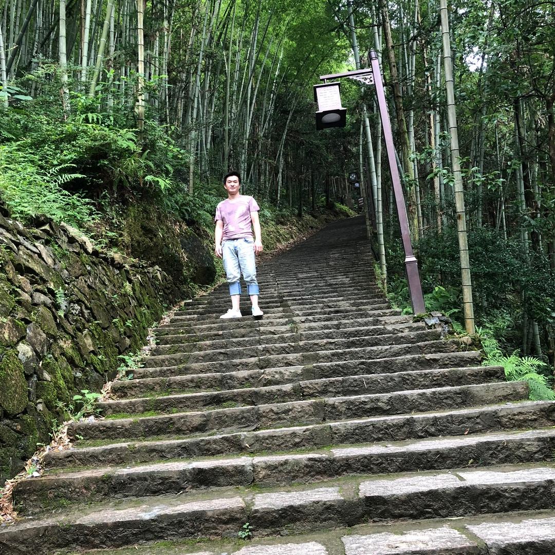 十   里  樱   花