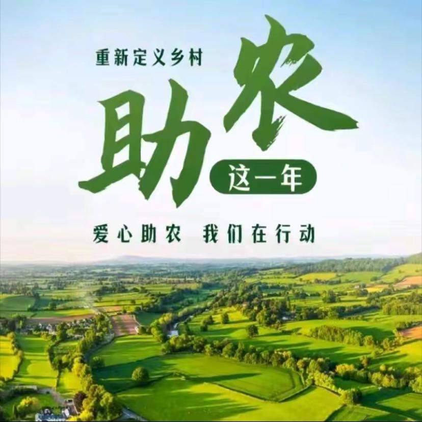 乡村大叔来助农