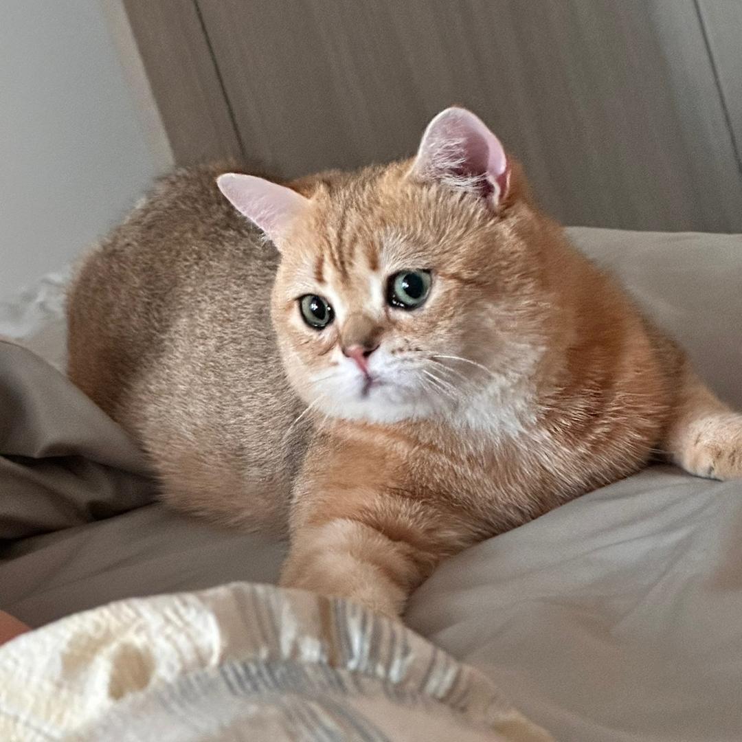 此地有金二百两