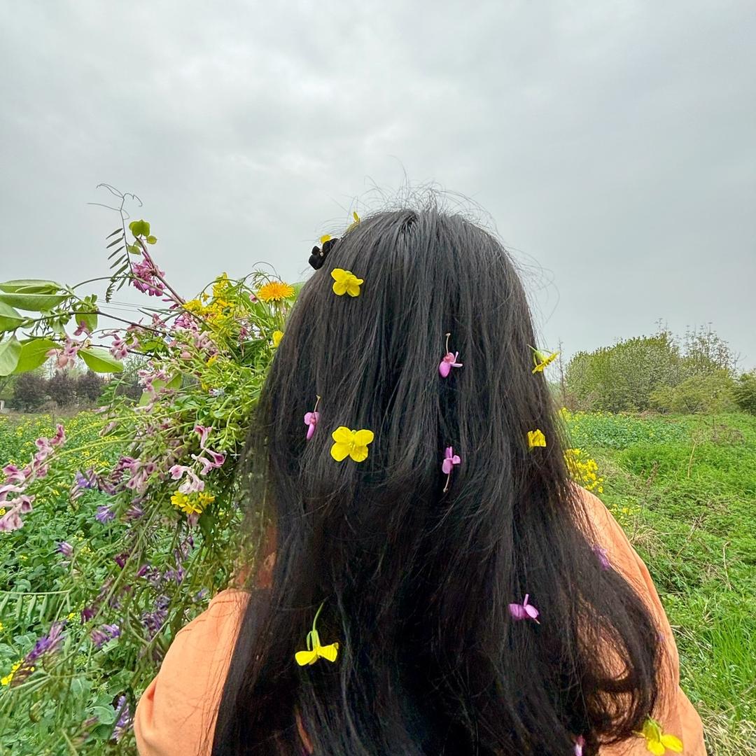 衣衣不舍的菜鸟