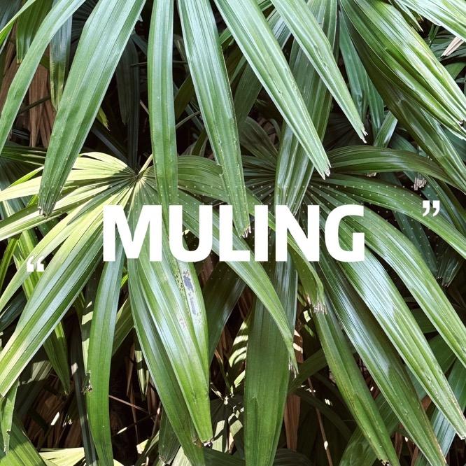 MULING 幕玲