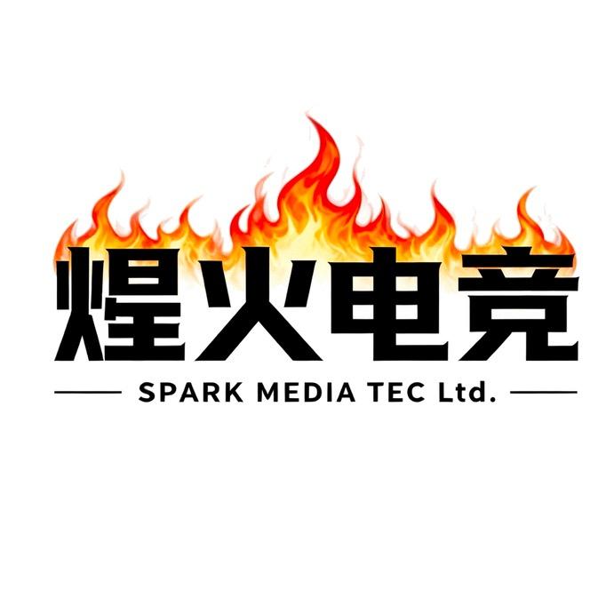 煋火电竞（无畏契约）
