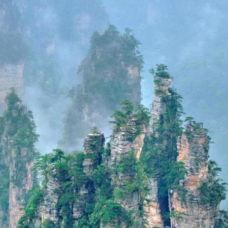 茶园驾校🇨🇳