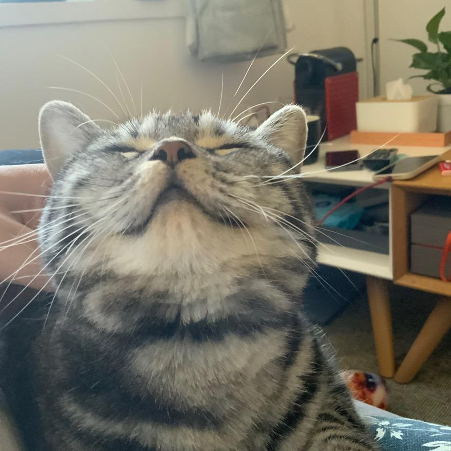 橙子的店长日记