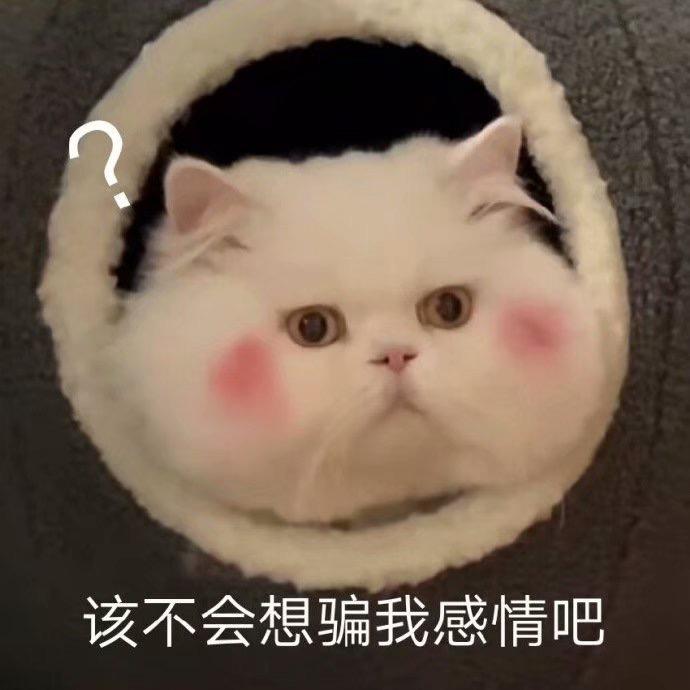 一天三杯拿铁