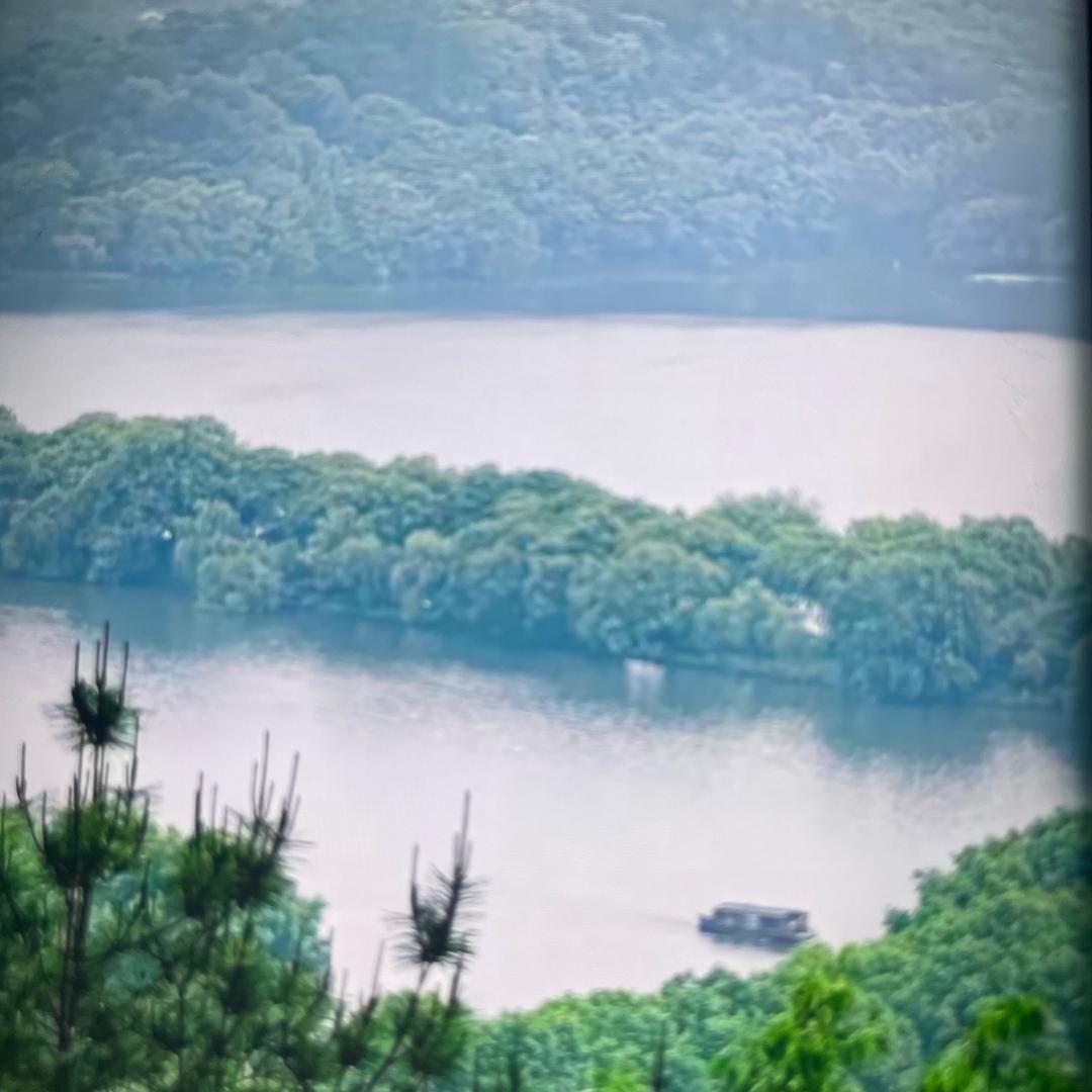 和涔-小新直播号