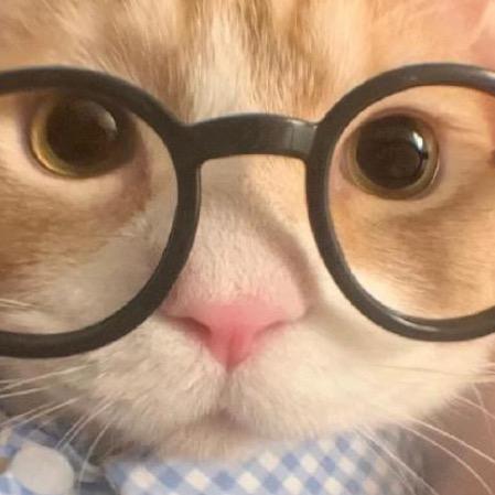 实诚直播号