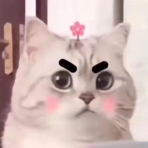 腰果大仁儿