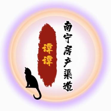 谭谭南宁房产渠道