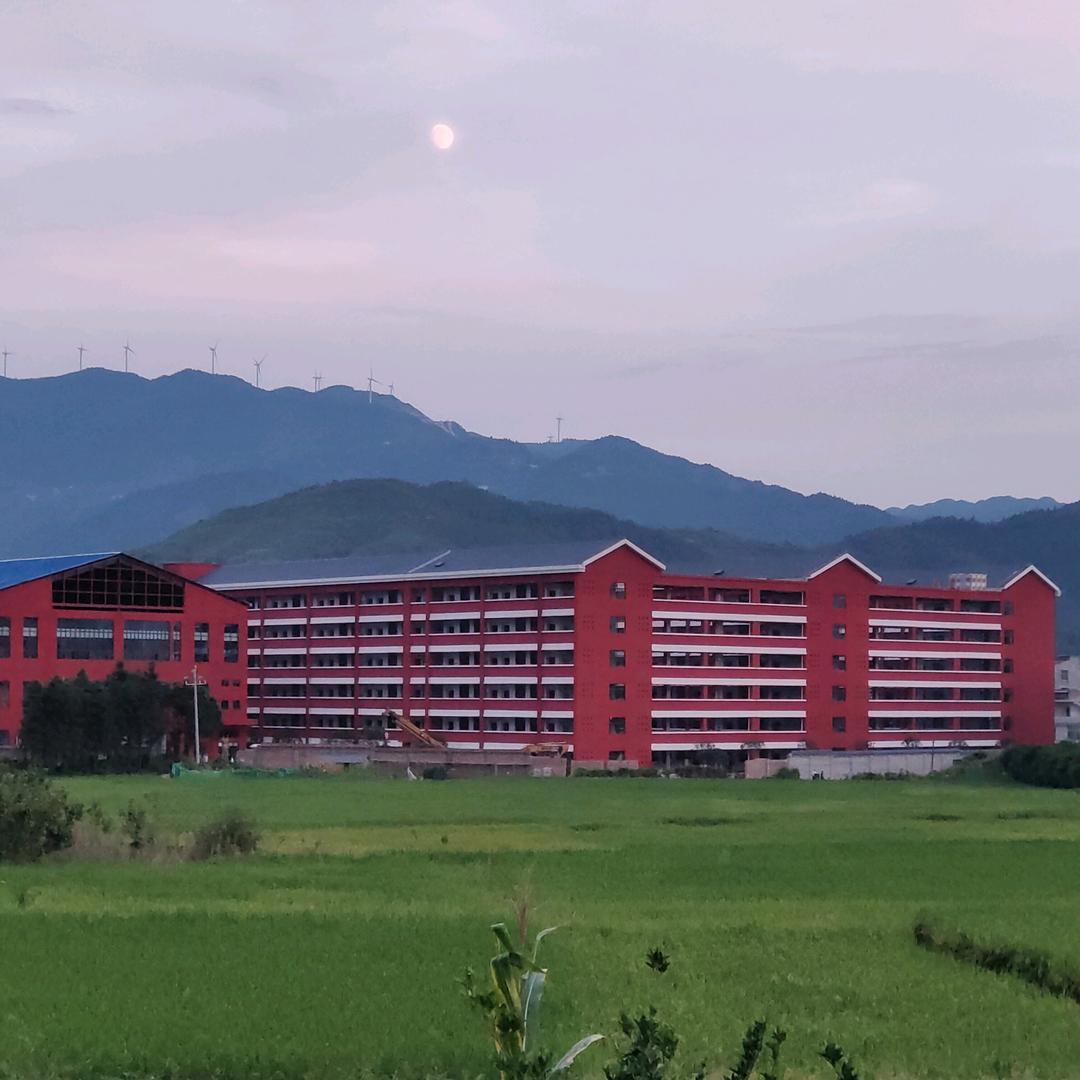 刘老师