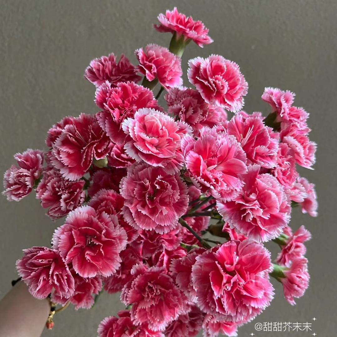 花晓柒鲜花批发（昆阳花小七）