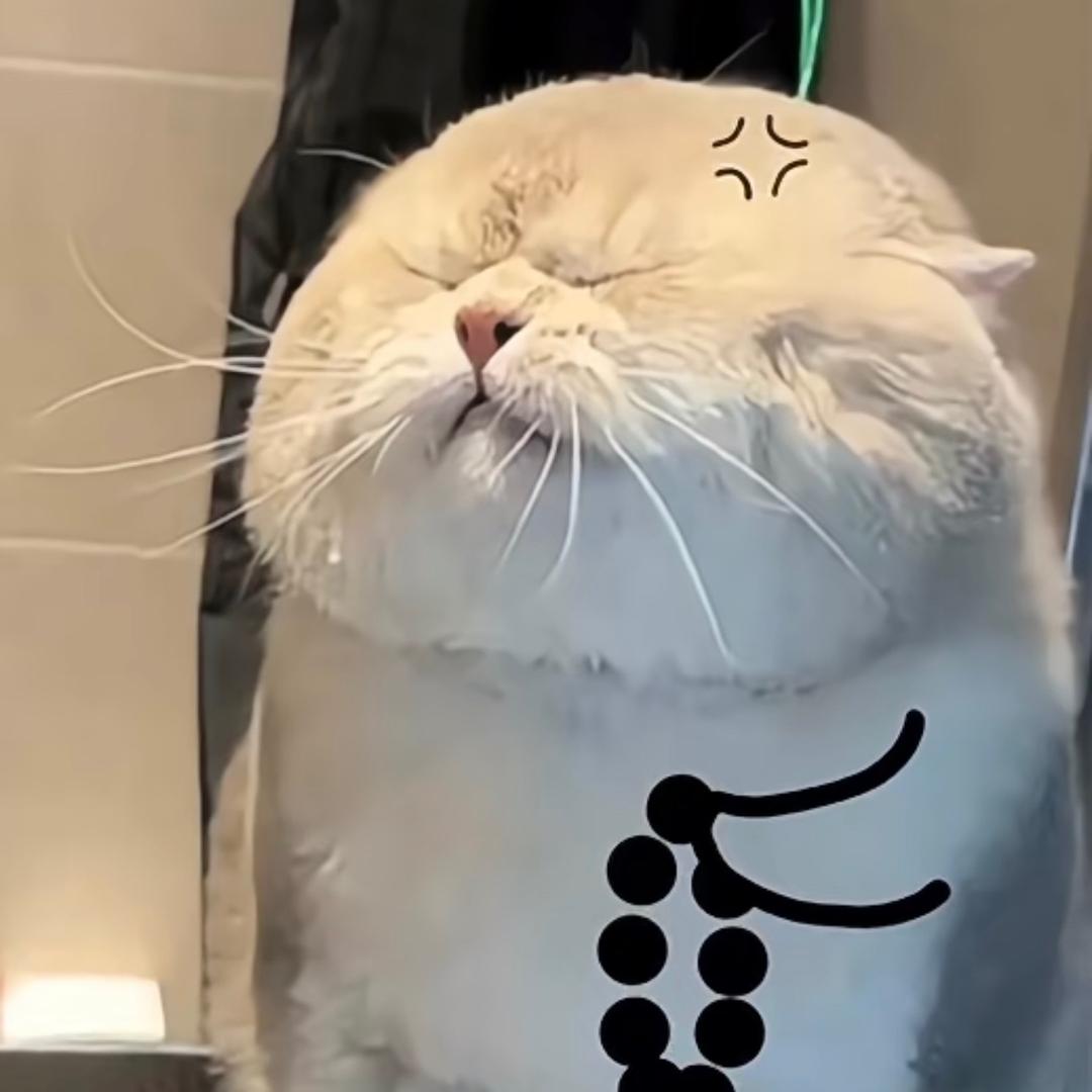 是小鹿呀