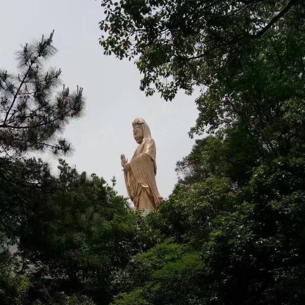 日照汽车贴膜老王