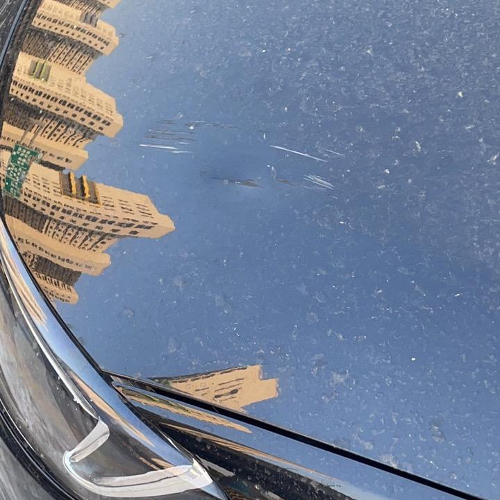 淡淡烟草味