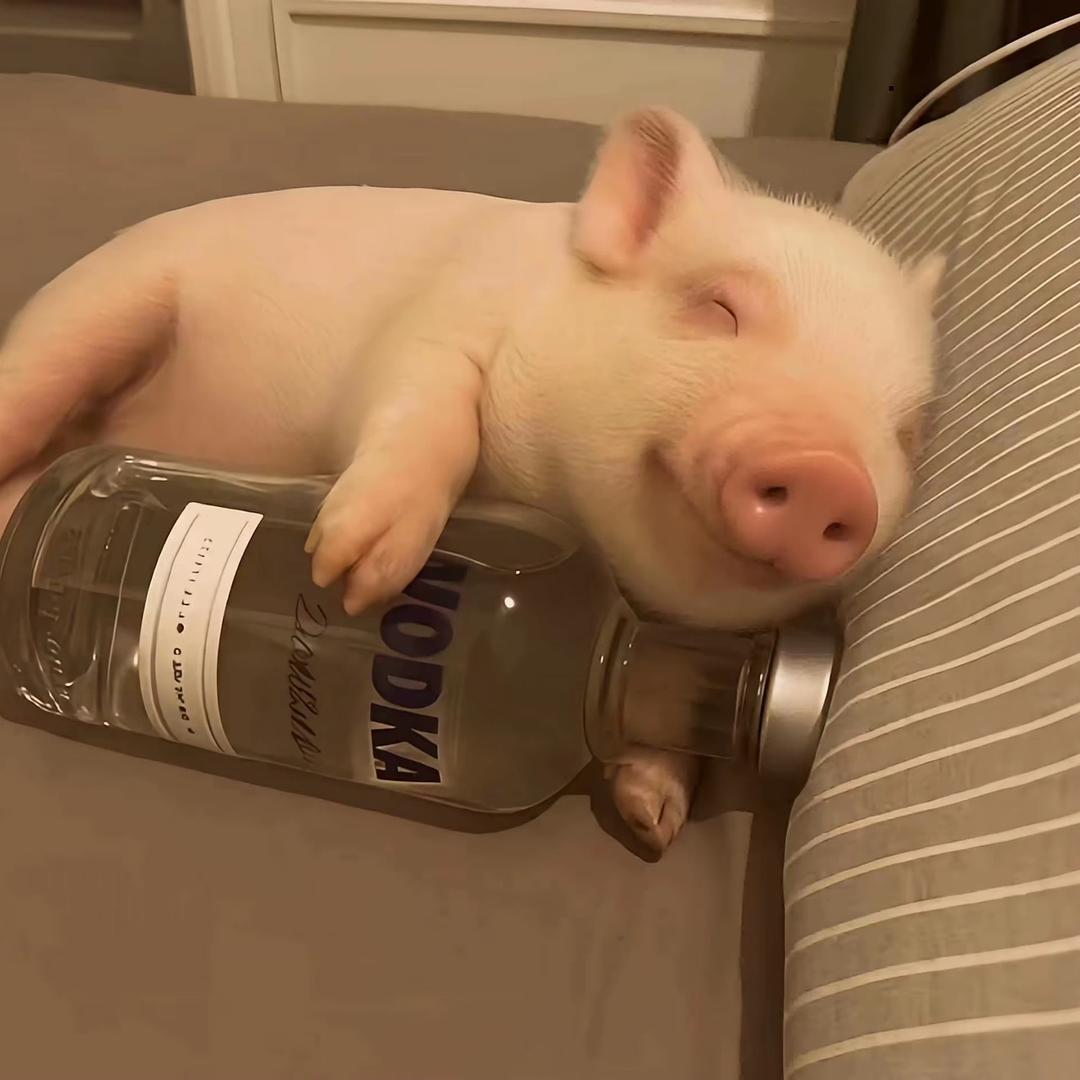 乌梅子酱🐾