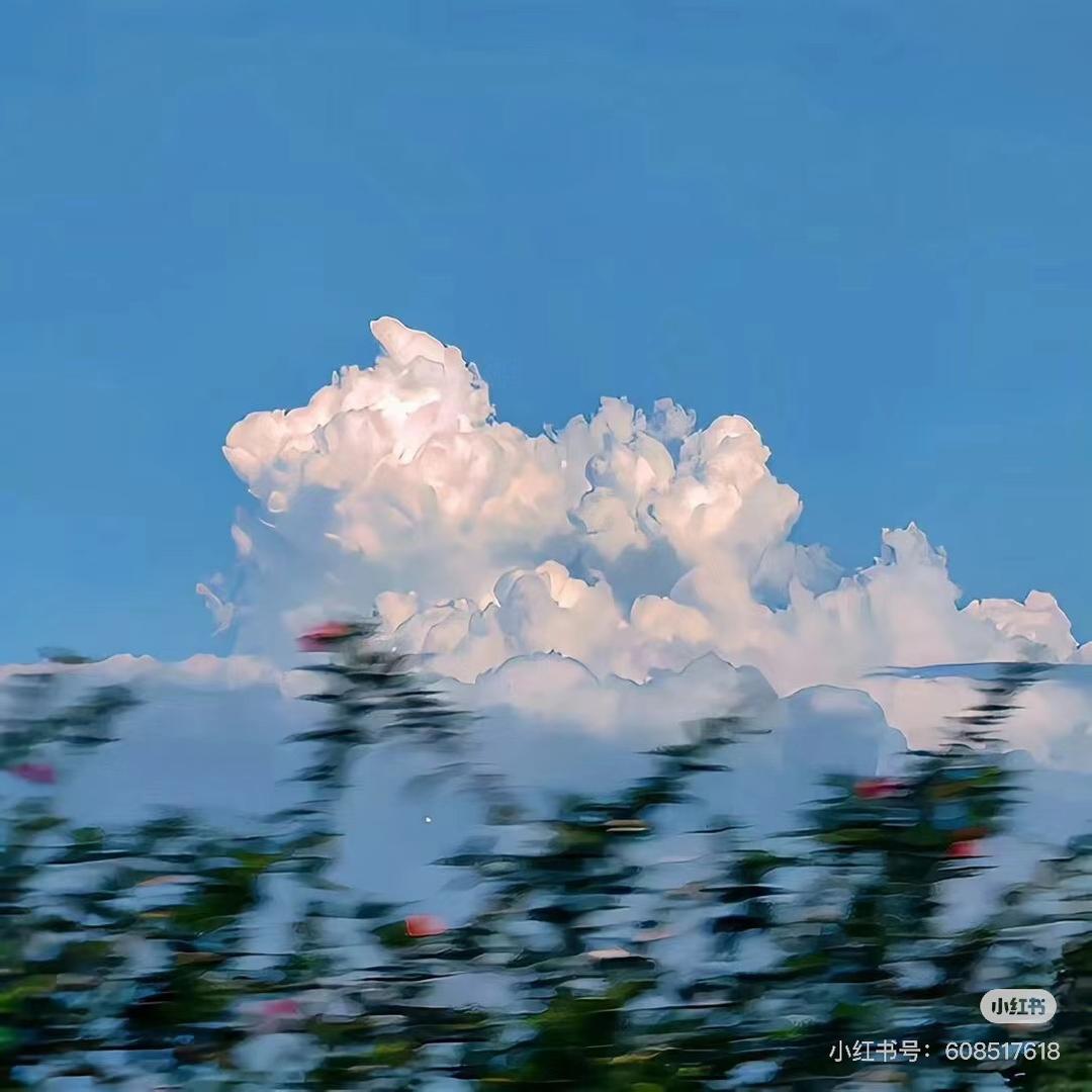 乾朤🌺