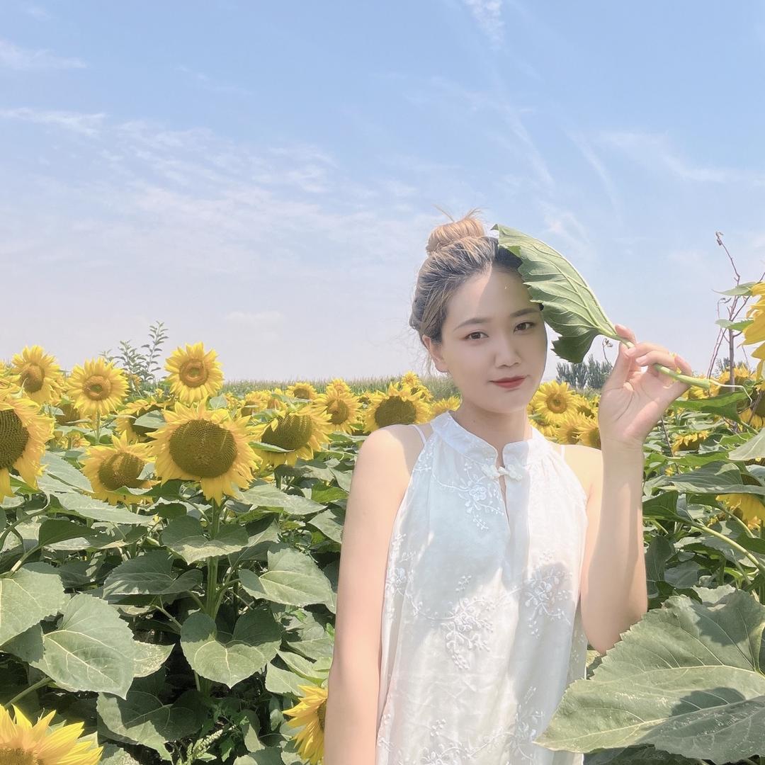 又摘桃花换酒钱