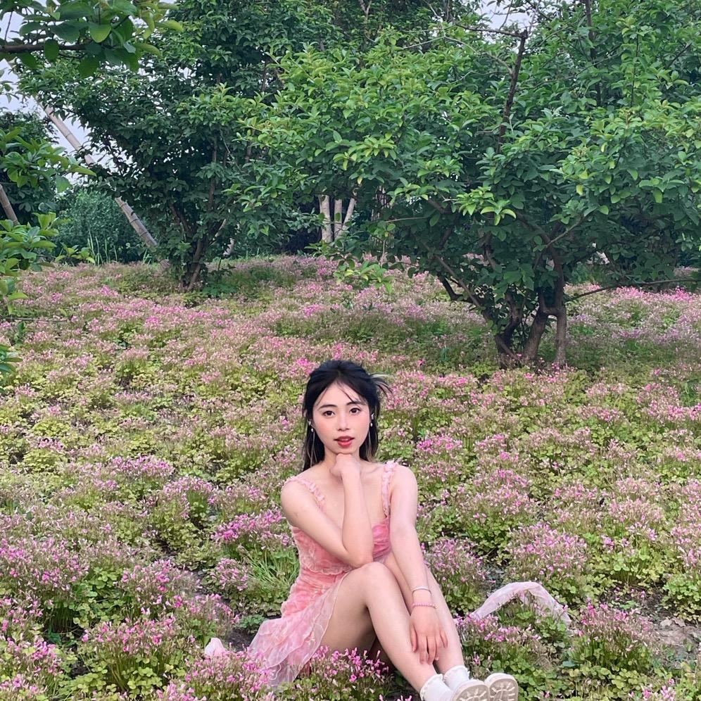 小猪爱睡觉^