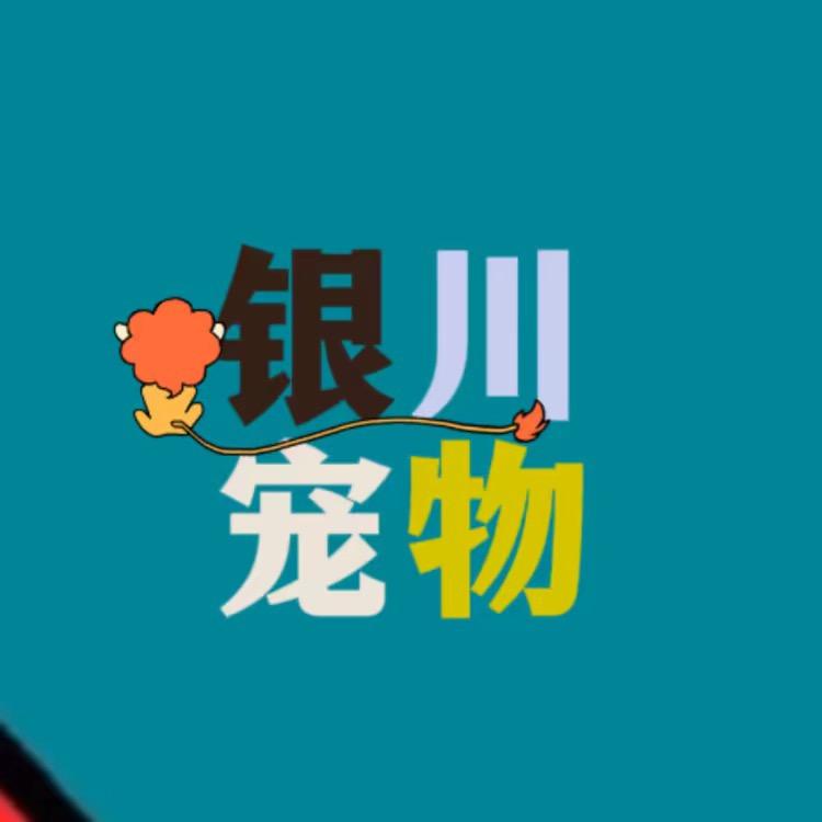 银川银宠猫狗基地