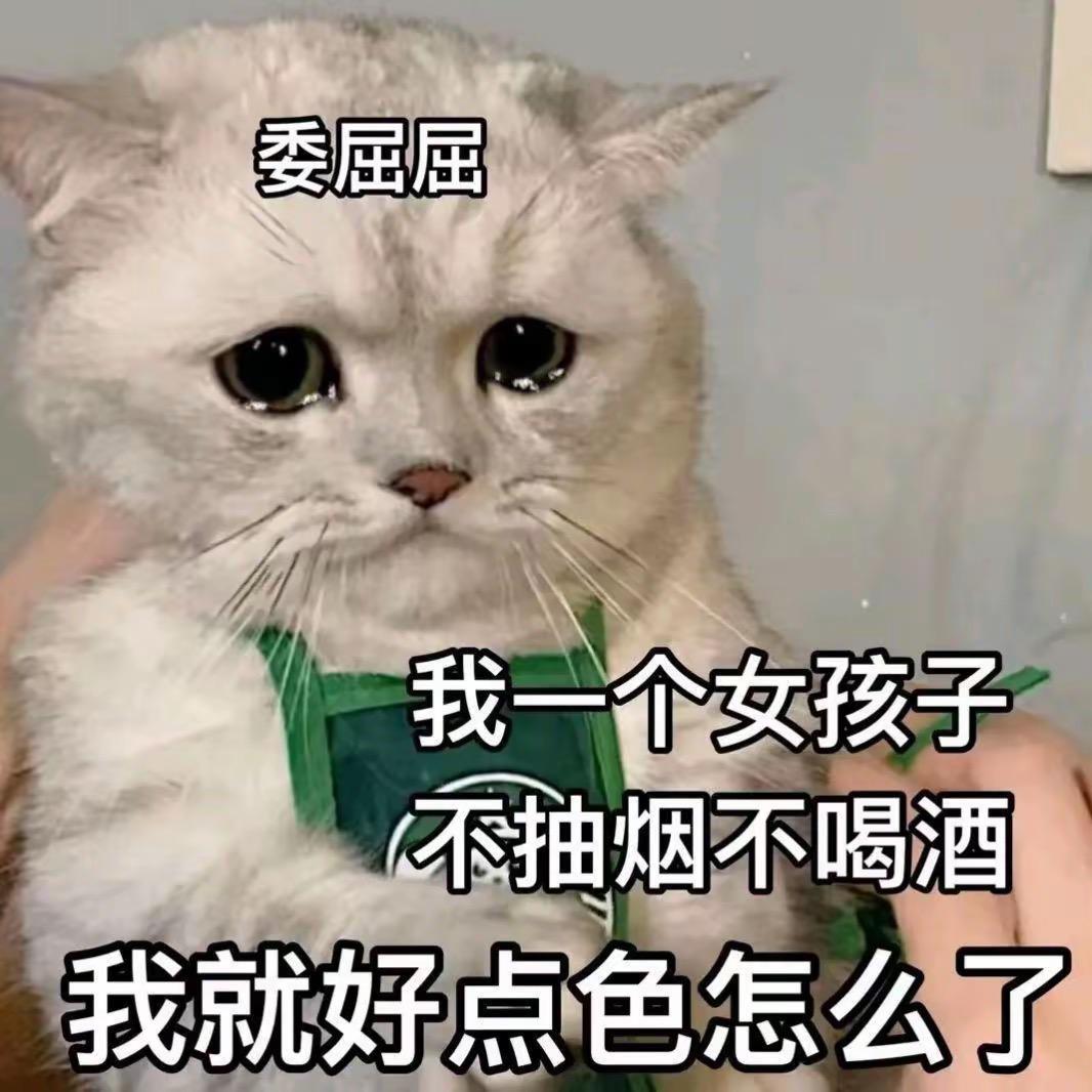 爱打瓦的枝枝酱
