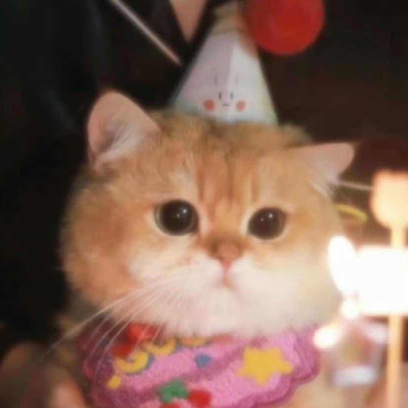 瑶仔今天瘦了没