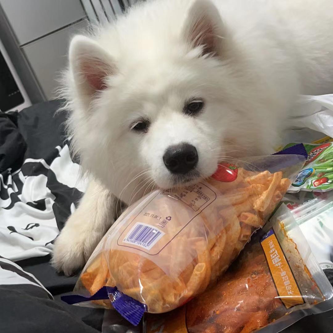 太原租房小能手😇（招人）