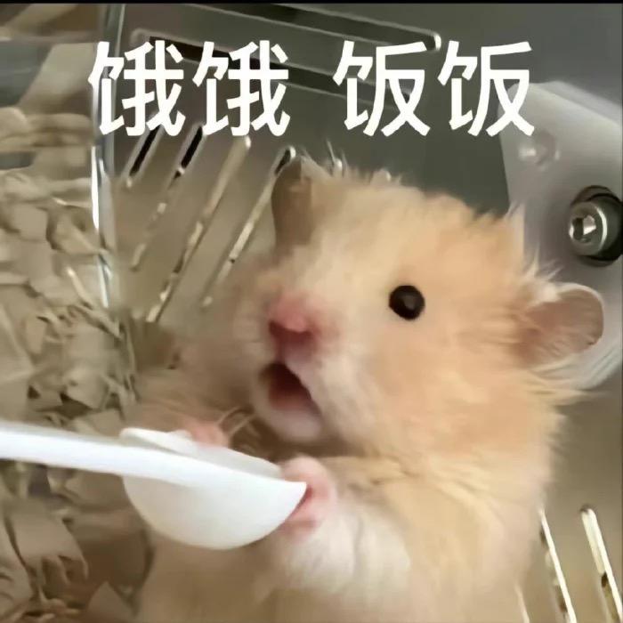 林子里的小松鼠