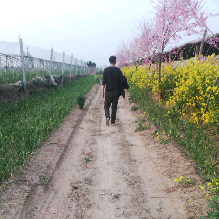 芯宝贝