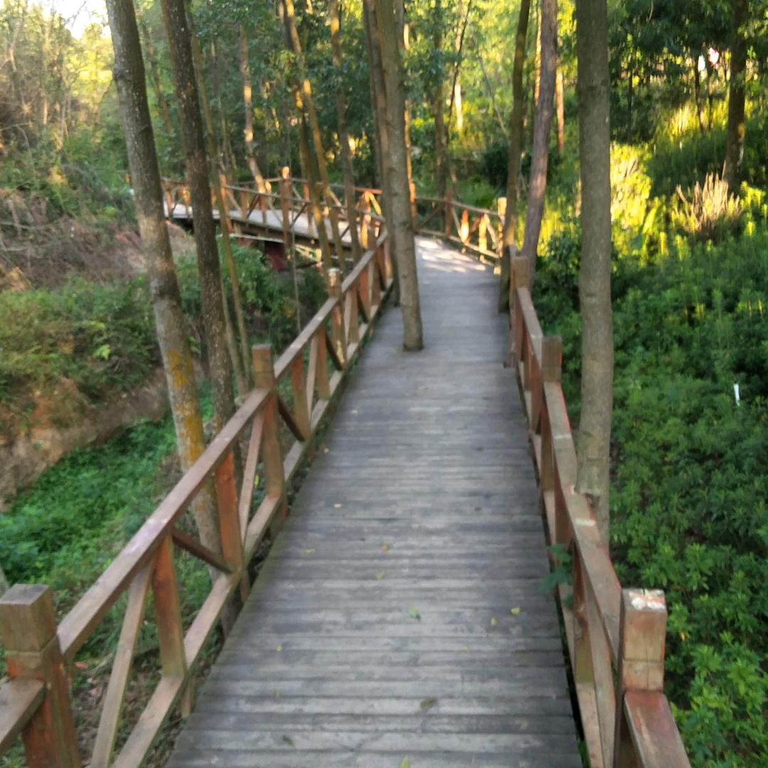 广告,传媒